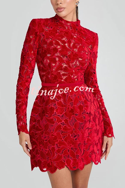 Vestido Lydia – Mini Tule com Renda Floral Bordada, Manga Longa e Cinto - Priya